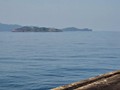 View of Carabao Island (Fort Frank) from Fort Drum.